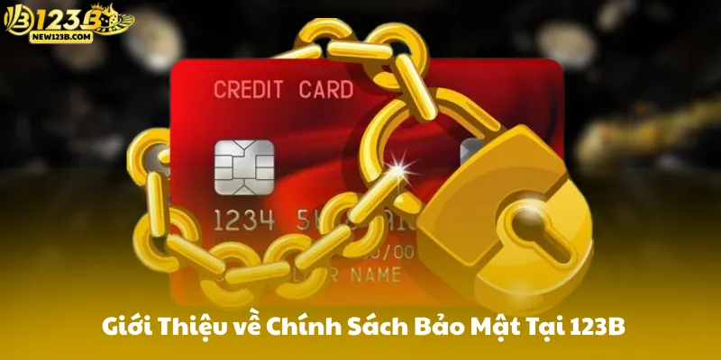 Giới Thiệu về Chính Sách Bảo Mật 123B
