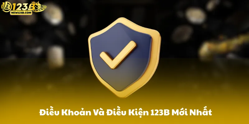 Điều Khoản Và Điều Kiện 123B Mới Nhất