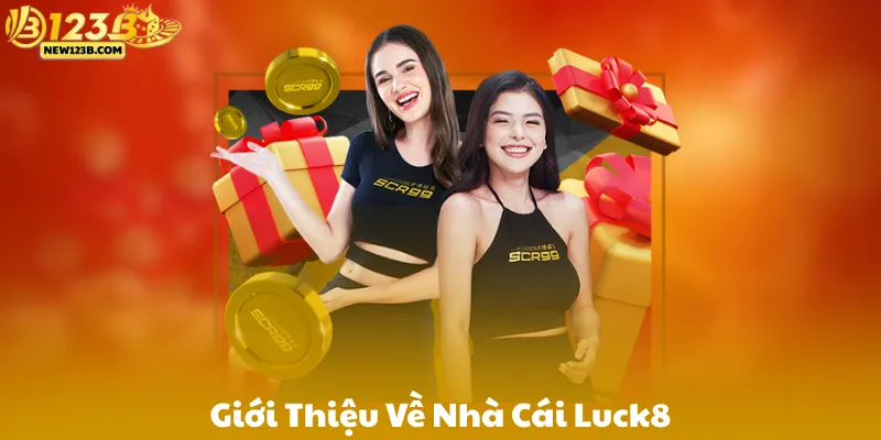 Tổng quan về nhà cái 123B